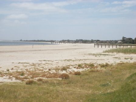 Photo courtesy of Steve