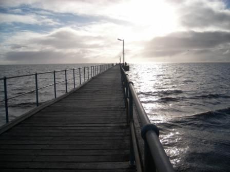 Photo courtesy of SteveS