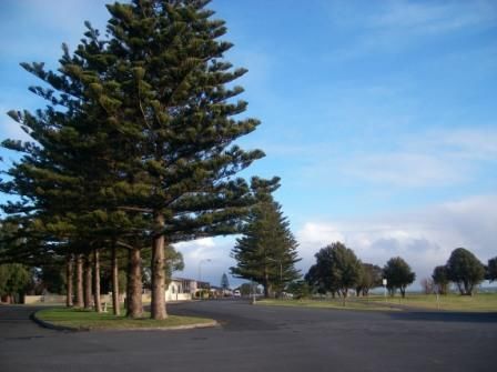 Photo courtesy of SteveS