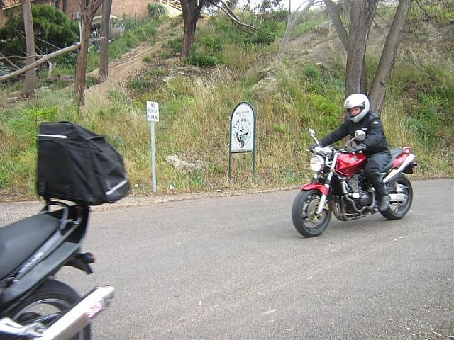 IMG_7648 (Medium).JPG