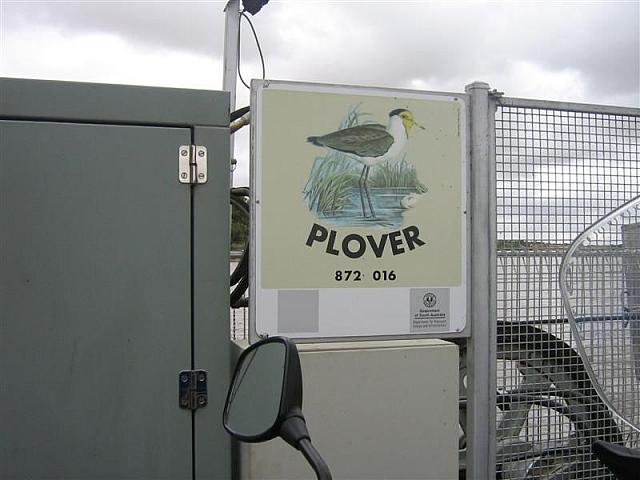 IMG_7654 (Medium).JPG