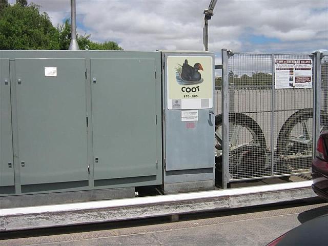 IMG_7671 (Medium).JPG