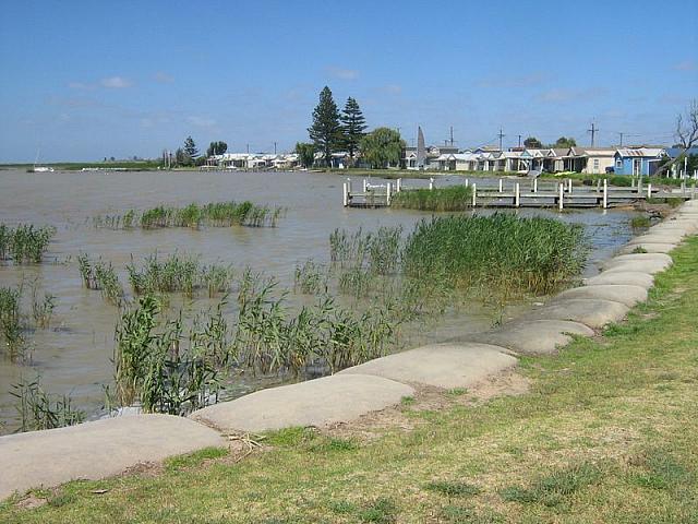 Photo courtesy of Nasef.