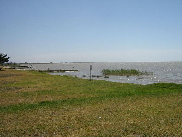 Photo courtesy of Nasef.