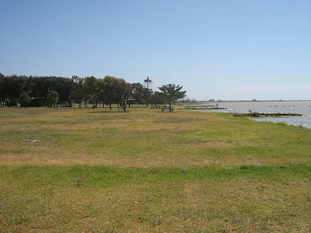 Photo courtesy of Nasef.