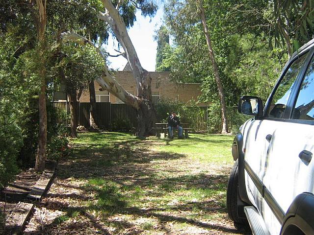 IMG_8100 (Medium).JPG