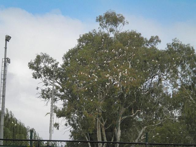 Photo courtesy of Kaye.