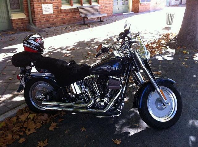 Photo courtesy of Tim.