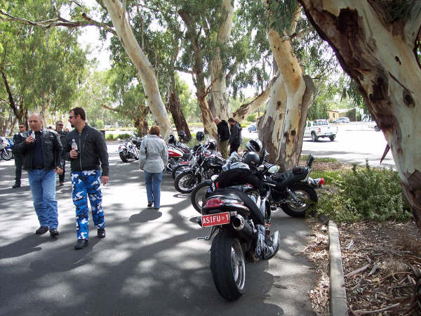 Photo courtesy of Kelvin