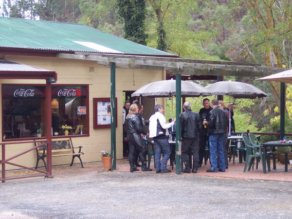 Photo courtesy of Kelvin