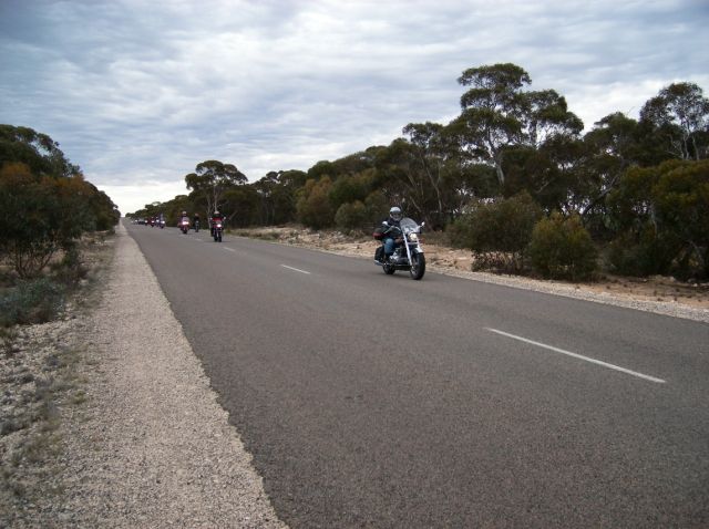 Photo courtesy of Steve