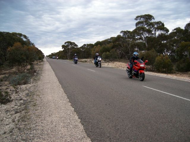 Photo courtesy of Steve