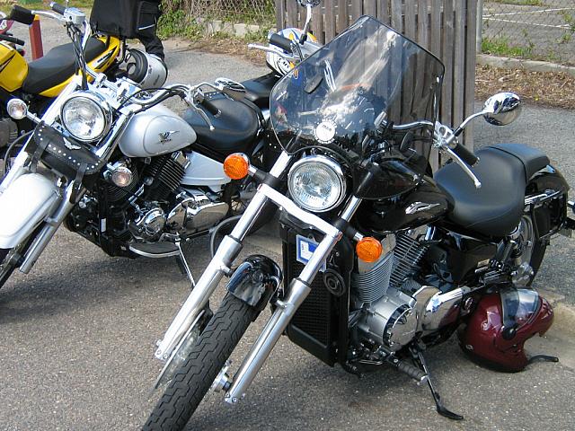 Photo courtesy of Vince