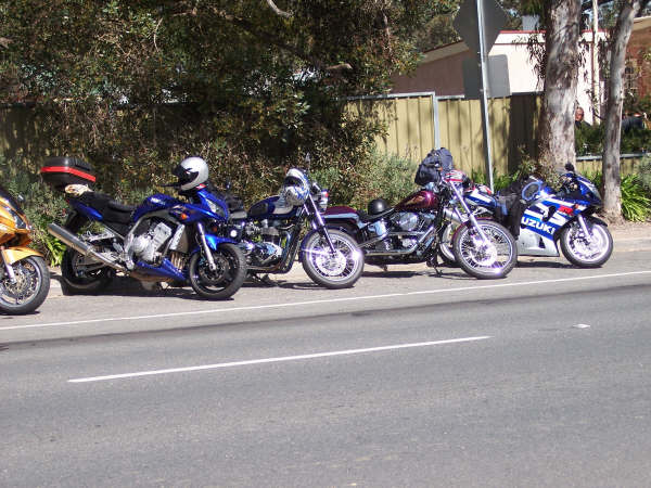 Photo courtesy of Kelvin