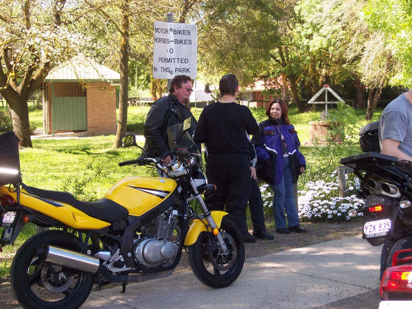 Photo courtesy of Kelvin