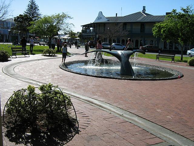 Photo courtesy of Vince