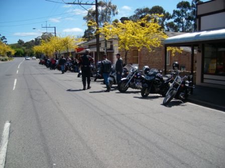 Photo courtesy of Steve