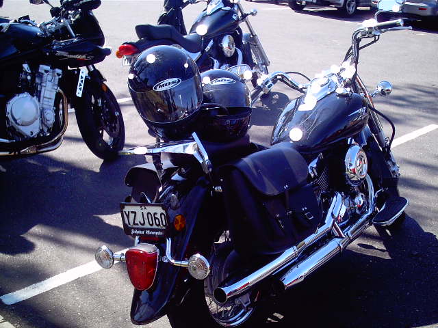 Photo courtesy of Dr Phil