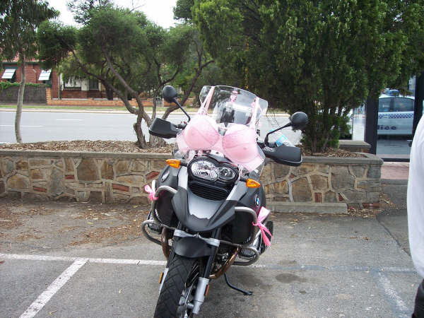 Photo courtesy of Kelvin