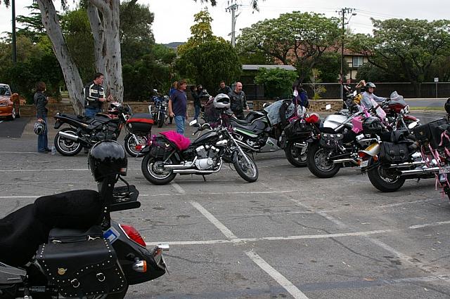 Photo courtesy of Rene