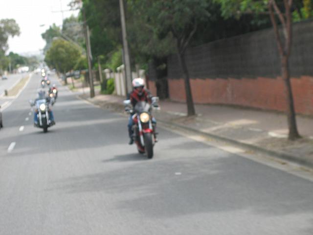 Photo courtesy of Hsin Ju