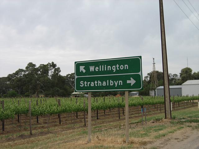 Photo courtesy of Hsin Ju