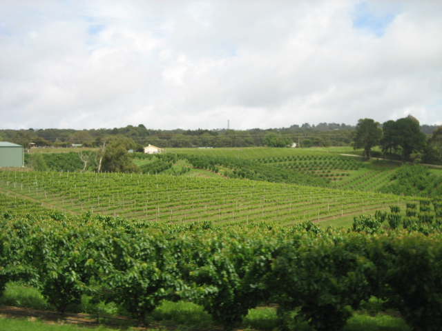 Photo courtesy of Hsin Ju