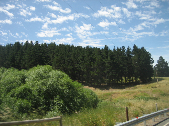 Photo courtesy of Hsin Ju.