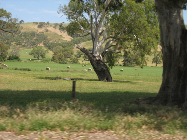 Photo courtesy of Hsin Ju.