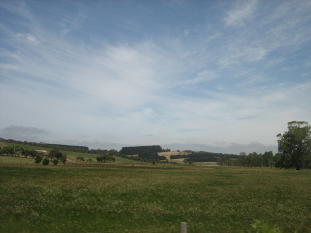 Photo courtesy of Hsin Ju.