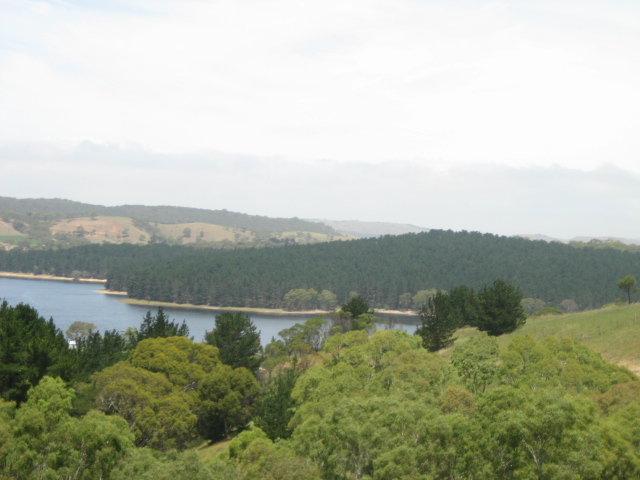 Photo courtesy of Hsin Ju.