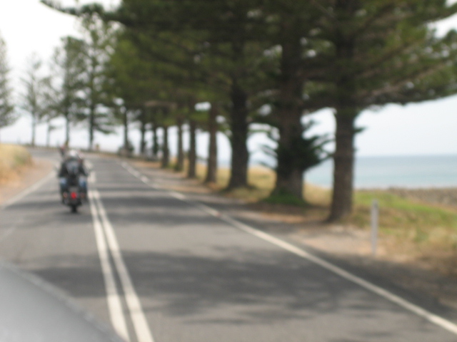 Photo courtesy of Hsin Ju.