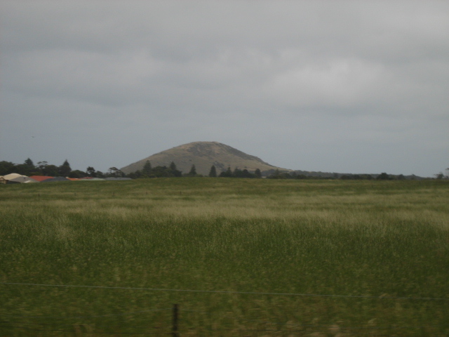 Photo courtesy of Hsin Ju.