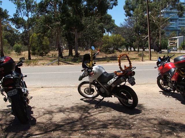 Photo courtesy of Dr Phil