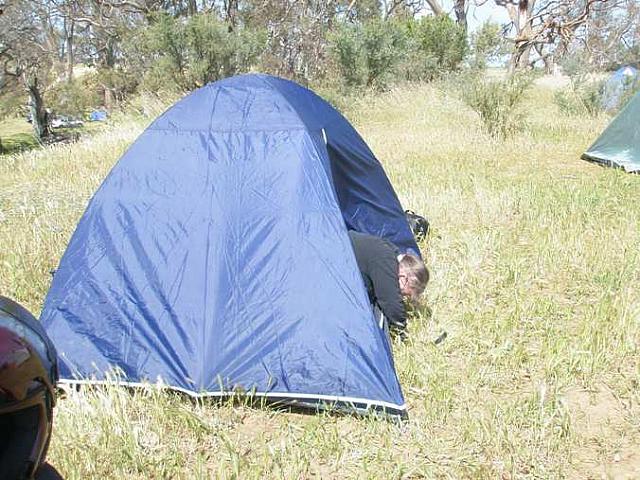 Photo courtesy of Deb.