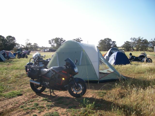 Photo coutesy of Steve