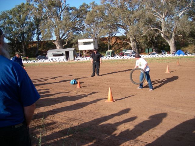 Photo coutesy of Steve