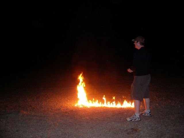 Photo coutesy of Steve