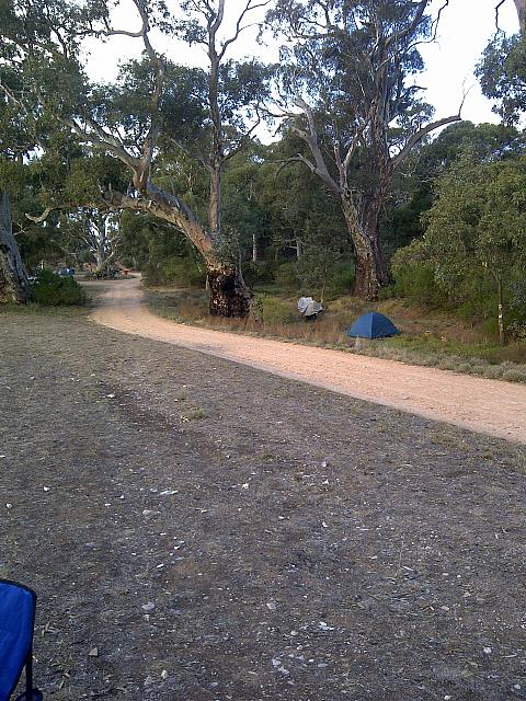 Swaggie - Compliments Ebi