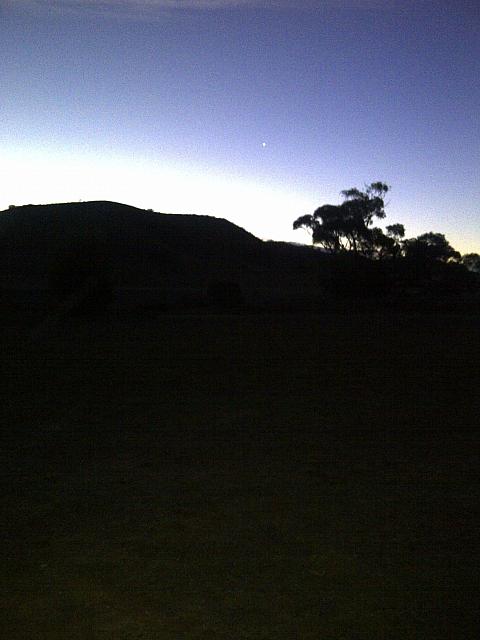 Swaggie - Compliments Ebi