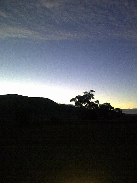 Swaggie - Compliments Ebi