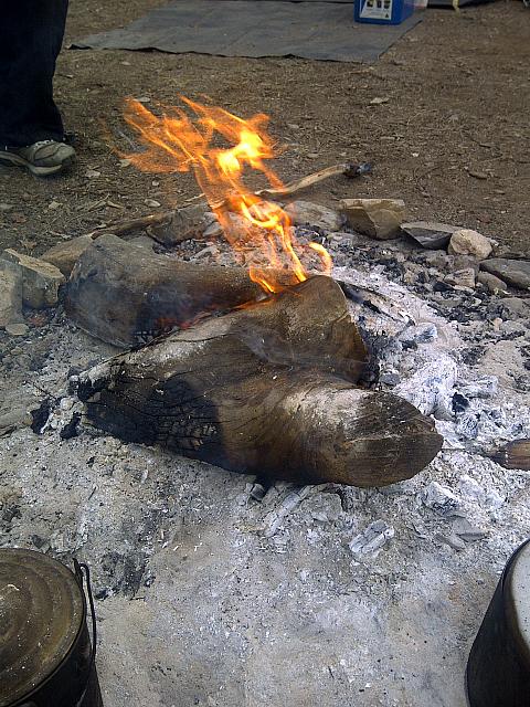 Swaggie - Compliments Ebi