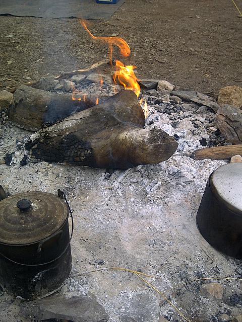 Swaggie - Compliments Ebi