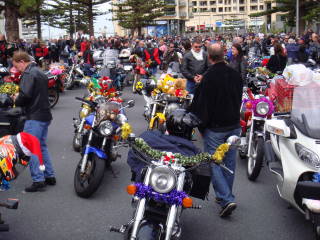 Photo courtesy of Sonya