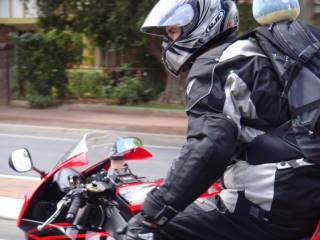 Photo courtesy of Sonya