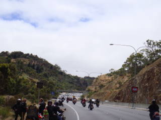 Photo courtesy of Sonya