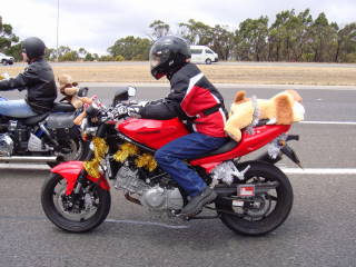 Photo courtesy of Sonya