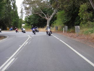 Photo courtesy of Sonya