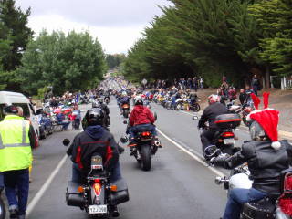 Photo courtesy of Sonya