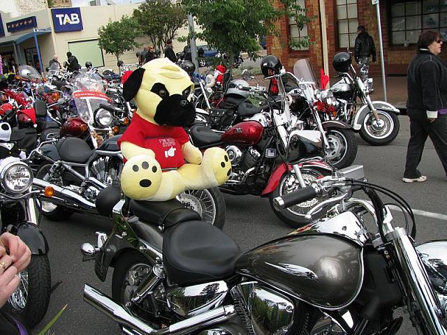 Photo courtesy of Del from RidingSA.